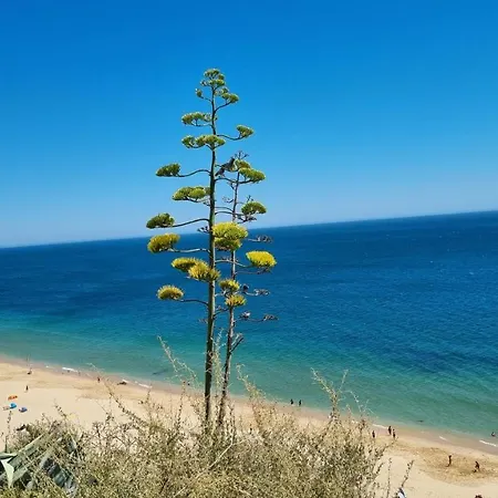 Daire Sun&sea - Beachfront Apartment!